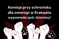 Nasze schronisko to nie prywatny folwark zwierzęcy dyrekcji! Komisja w Schronisku dla zwierząt w Krakowie wypowiada sp&oacute;r zbiorowy