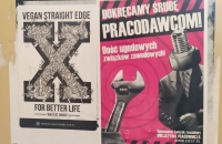 Czy polskie związki zawodowe rosną w siłę? Sprawozdanie z badań